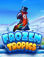 กติกาการเล่น สล็อต สุดคุ้มค่าของเกม NetEnt